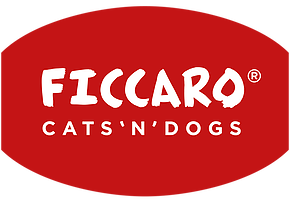 ficcaro.it
